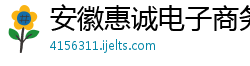 安徽惠诚电子商务有限公司